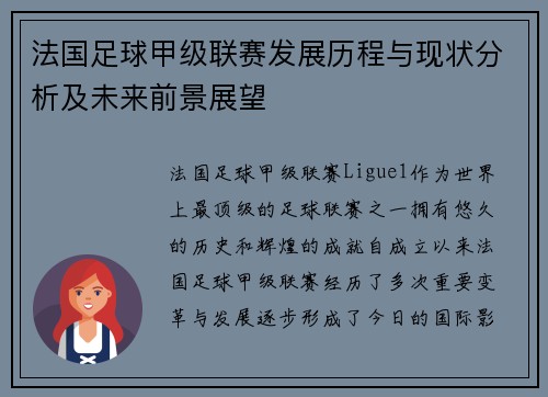 法国足球甲级联赛发展历程与现状分析及未来前景展望